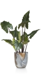 Coco Maison Kunstplant Colocasia 130cm Groen