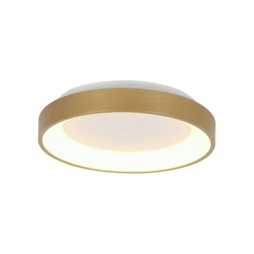 Steinhauer Plafondlamp Ringlede Dun Goud Ø28cm