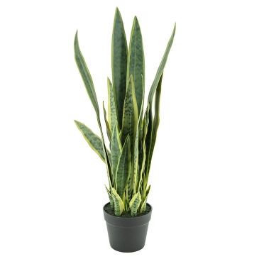 By-Boo Kunstplant Sansevieria 79cm