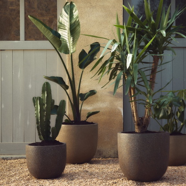 Kave Home Bloempot Selvi Donkerbruin Set van 2