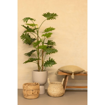 PrettyPlants Kunstplant Philodendron 160cm