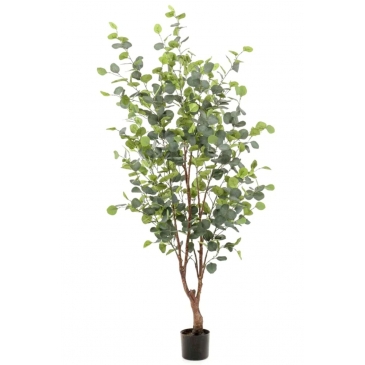 PrettyPlants Kunstboom Eucalyptus 140cm