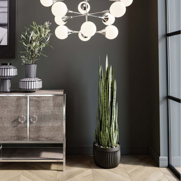 Kare Design Kunstplant Sansevieria 155cm