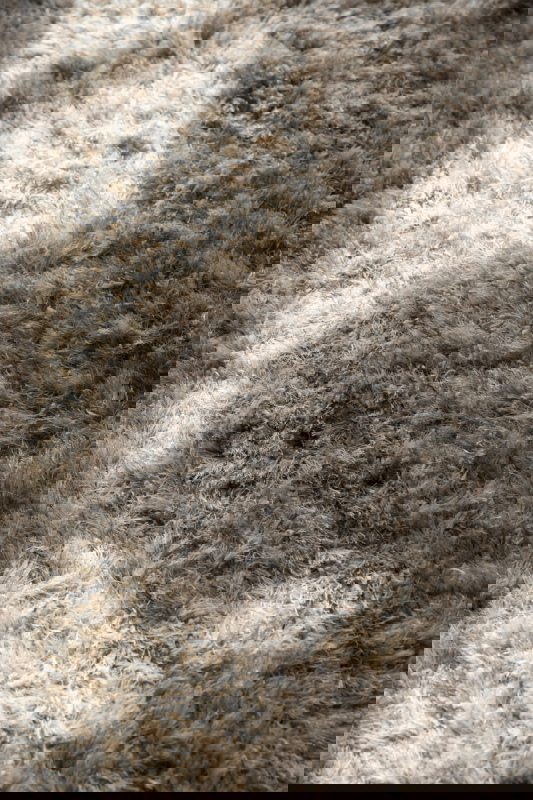 Dutchbone Vloerkleed Hairy Beige 160x230cm