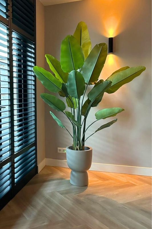 PrettyPlants Kunstplant Strelitzia Maikel 180cm