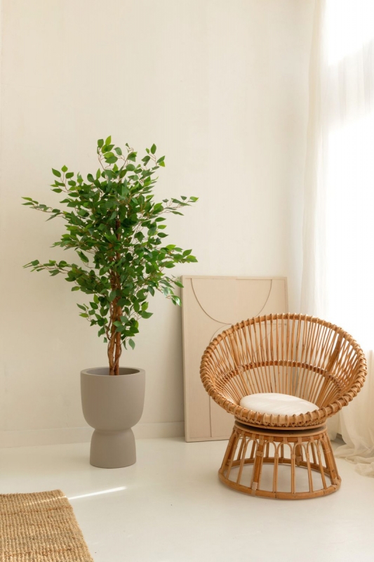 PrettyPlants Kunst Ficus 150cm