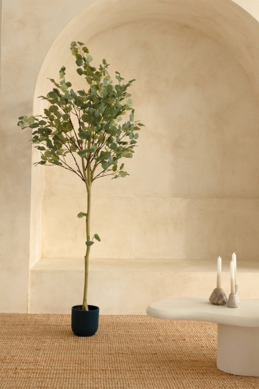 PrettyPlants Kunstboom Eucalyptus 180cm