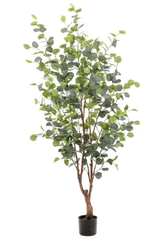 PrettyPlants Kunstboom Eucalyptus 140cm