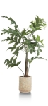 Coco Maison Kunstplant Palm Fishtail 135cm Groen