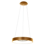 Steinhauer Ringlede Hanglamp Goud Ø48cm