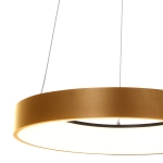 Steinhauer Ringlede Hanglamp Goud Ø48cm