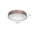 Steinhauer Plafondlamp Ringlede Brons Ø30cm