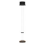 Steinhauer Hanglamp Piola 1-Lichts Zwart