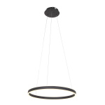 Steinhauer Hanglamp Ringlux Zwart Ø60cm