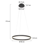 Steinhauer Hanglamp Ringlux Zwart Ø60cm