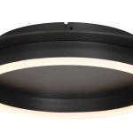 Steinhauer Plafondlamp Ringlux Zwart Ø32cm