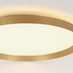 Steinhauer Plafondlamp Flady Goud Ø40cm