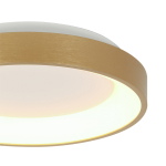 Steinhauer Plafondlamp Ringlede Dun Goud Ø28cm