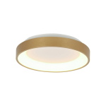 Steinhauer Plafondlamp Ringlede Dun Goud Ø28cm