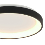 Steinhauer Plafondlamp Ringlede Dun Zwart Ø28cm