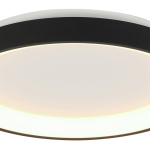 Steinhauer Plafondlamp Ringlede Dun Zwart Ø28cm