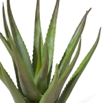 Coco Maison Kunstplant Aloe 50cm