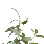 Coco Maison Kunstplant Eucalyptus Boom 195cm