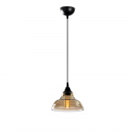 Hanglamp Dilberay Zwart Ø20cm