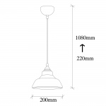 Hanglamp Dilberay Zwart Ø20cm