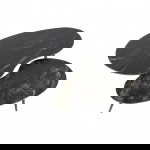 Salontafel Fossil Niervormig Zwart Set van 2 - Giga Meubel