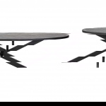 Richmond Eettafel Scotch Zwart Ovaal 230cm