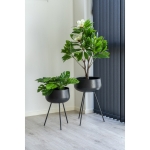 House Nordic Bloempotten Ardola Set van 2 Staal Zwart
