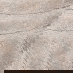 Richmond Vloerkleed Lexy Naturel 200x300cm