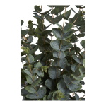 House Nordic Kunstplant Eucalyptus 120cm