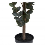 House Nordic Kunstplant Eucalyptus 120cm