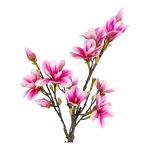 House Nordic Kunstplant Magnolia Tree 75cm