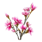 House Nordic Kunstplant Magnolia Tree 75cm