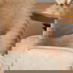 StarFurn Eetkamerstoel Nova Beige