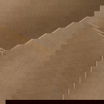 Richmond Staande Spiegel Mayla Brushed Goud 202cm