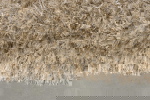 Dutchbone Vloerkleed Hairy Beige 160x230cm