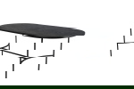 Fjôrd Eettafel Skate Ovaal Zwart Fineer