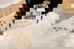 Fjôrd Vloerkleed Blanca Wit 200x300cm