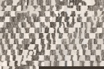 Fjôrd Vloerkleed Milos 395x295cm Grijs