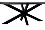 Livingfurn Eettafel Kala Ovaal Spider 160cm Mangohout