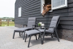 Lesli Living Loungestoel Allegro