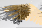 Kare Design Hanglamp Owl Goud 60cm