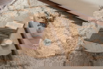 Salontafel Orion Naturel