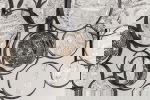 Kare Design Hanglamp Clouds Clear 100cm