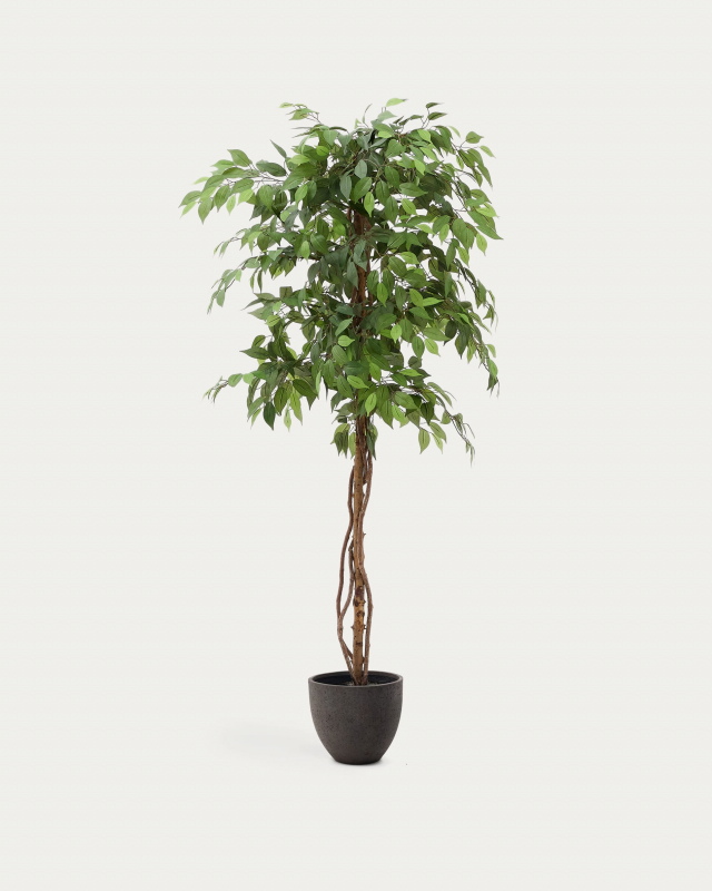 Kave Home Kunstboom Ficus Zwart Pot 180cm