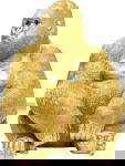 Kare Design Beeld Gorilla Side Goud XL